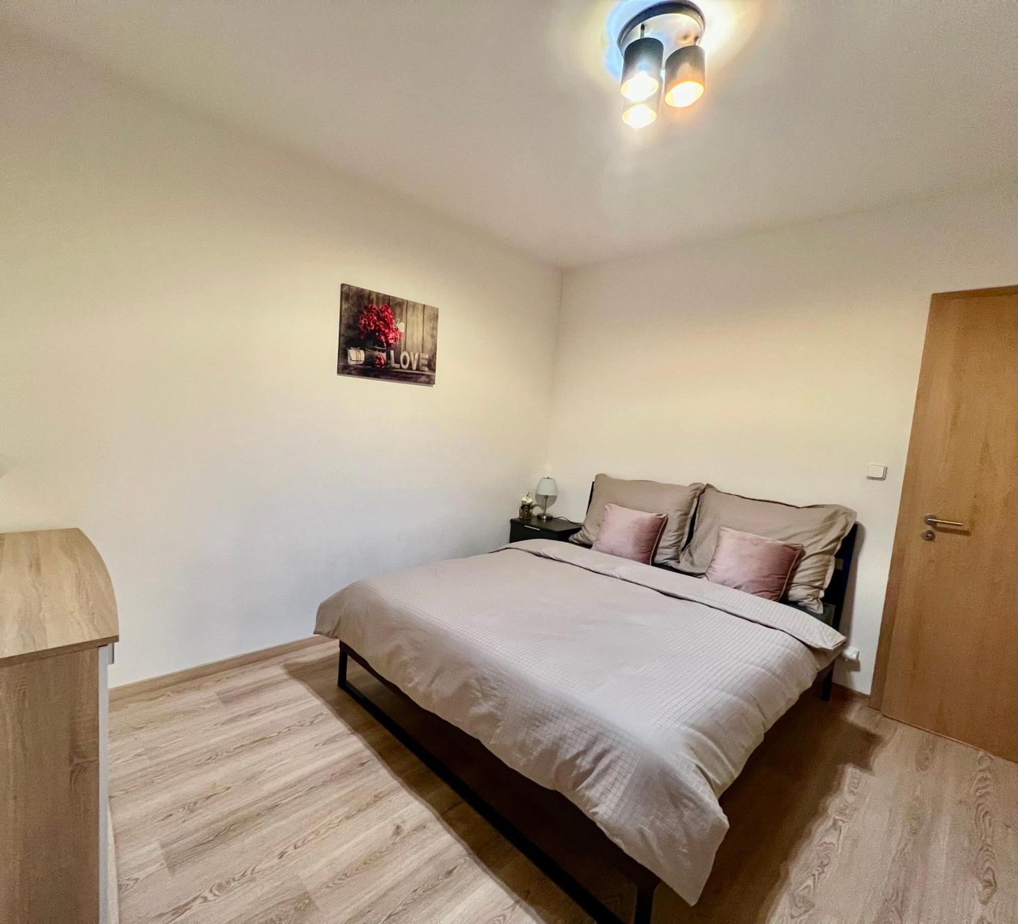 Tomas Apartment,free Parking-02 Arena Prague